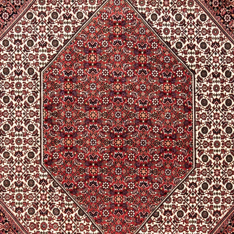 Tappeto Persero - Bidjar - 353 x 250 cm - rosso