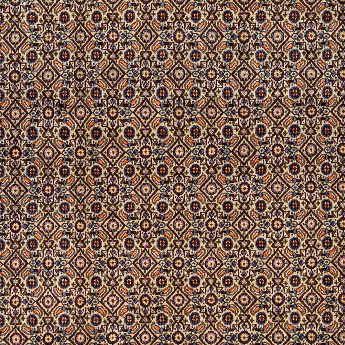 Tappeto Persero - Classico - 295 x 243 cm - marrone chiaro