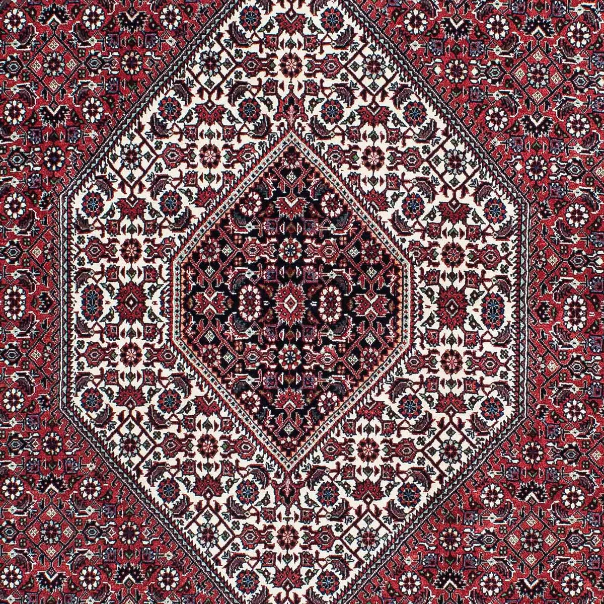 Tappeto Persero - Bidjar - 217 x 131 cm - rosso chiaro
