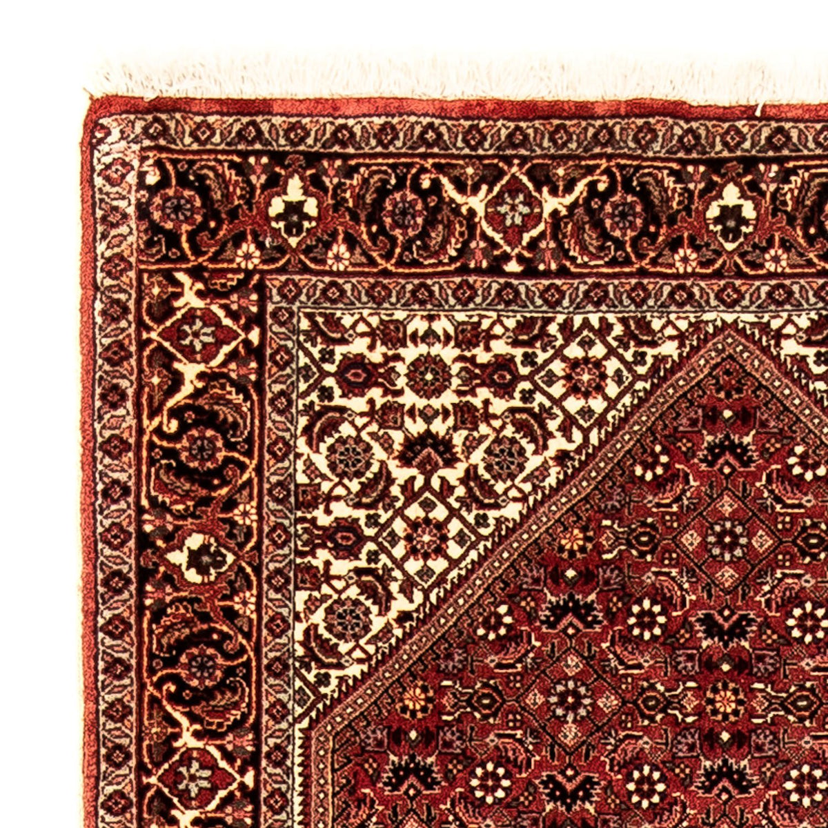 Tappeto corsia Tappeto Persero - Bidjar - 281 x 80 cm - multicolore