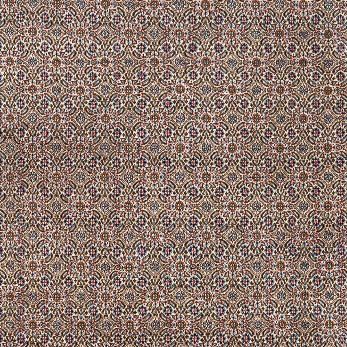 Tappeto Persero - Classico - 334 x 248 cm - beige