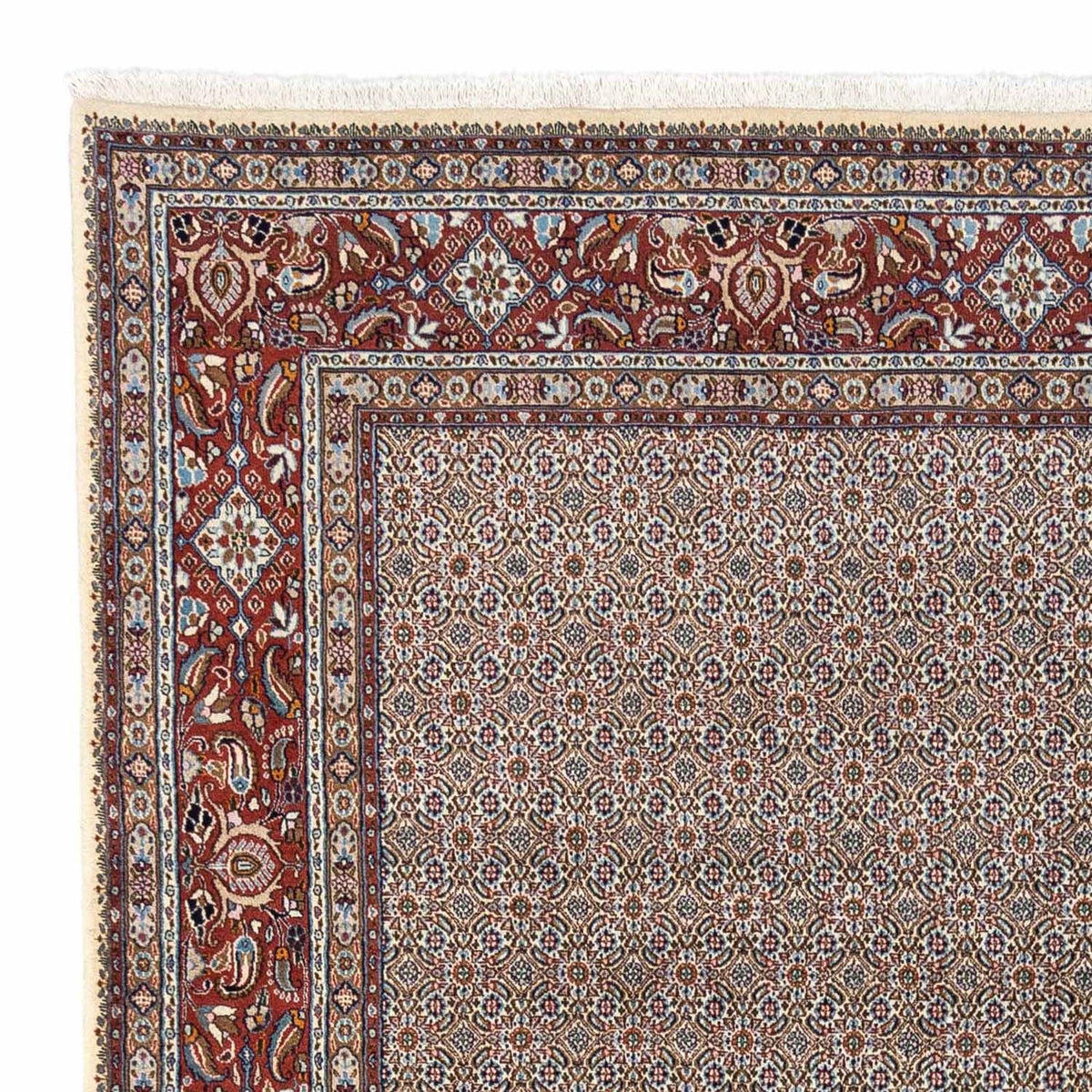 Tappeto Persero - Classico - 334 x 248 cm - beige