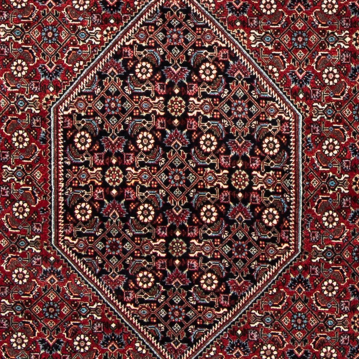 Tappeto Persero - Bidjar - 177 x 112 cm - rosso scuro