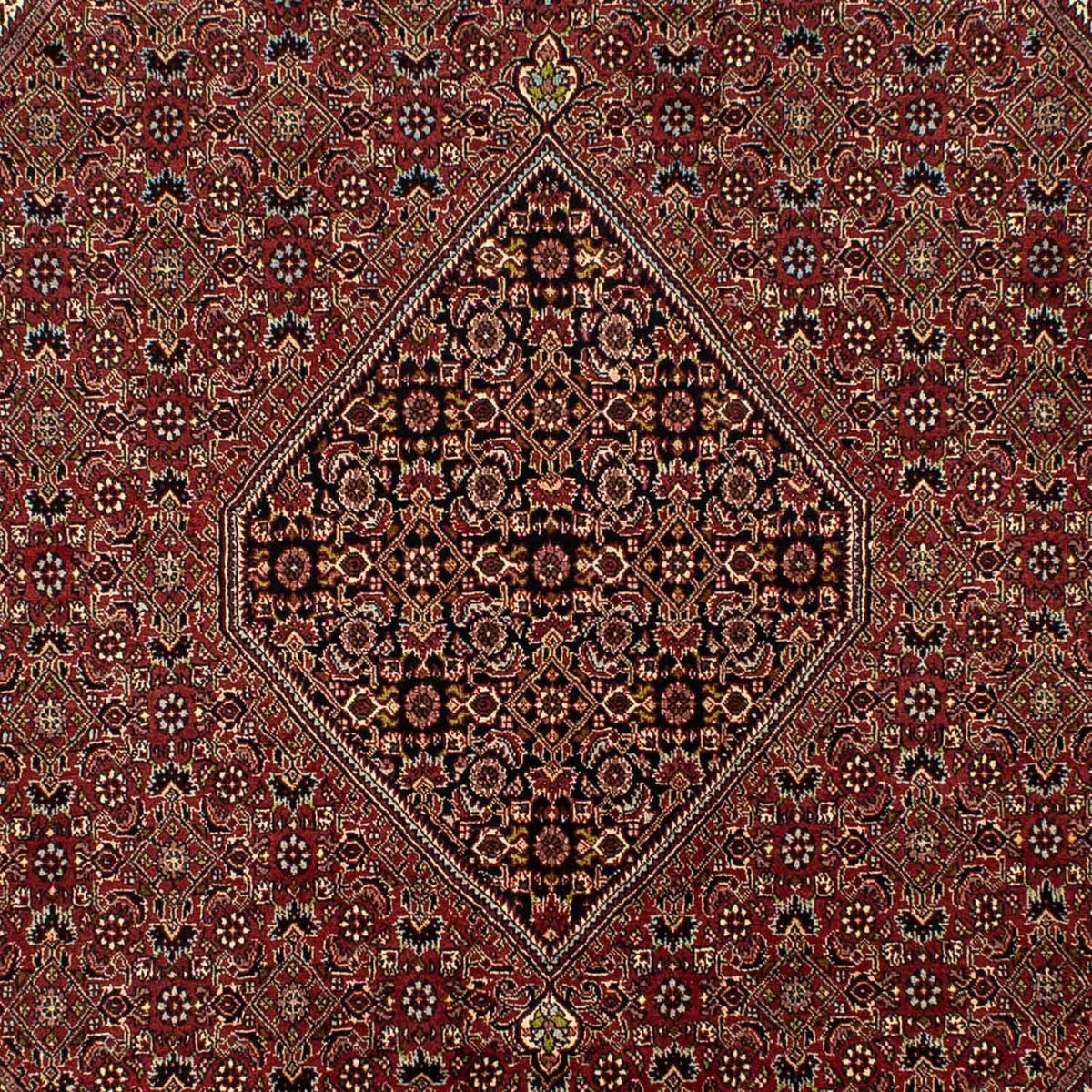 Tappeto Persero - Bidjar - 295 x 200 cm - marrone