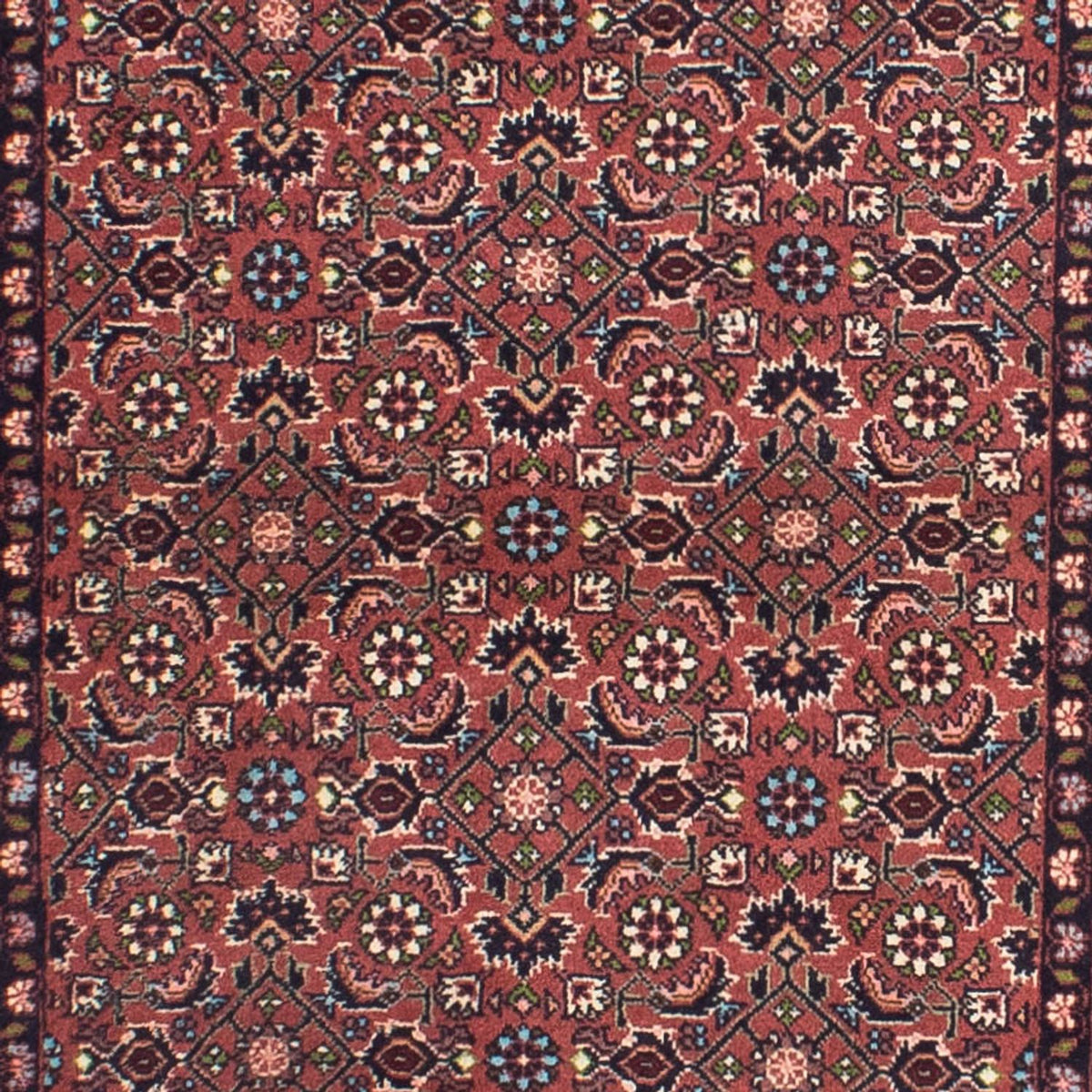 Tappeto corsia Tappeto Persero - Bidjar - 290 x 84 cm - rosso chiaro