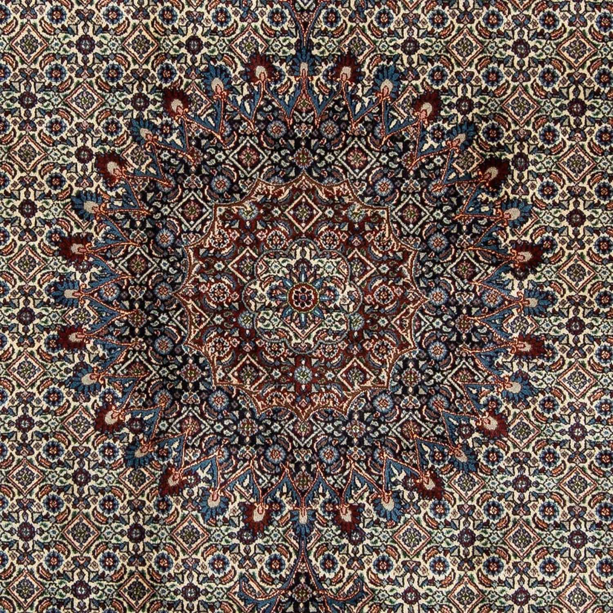 Tappeto Persero - Classico - 277 x 197 cm - beige