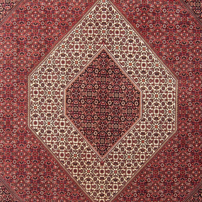 Tappeto Persero - Bidjar - 350 x 254 cm - rosso