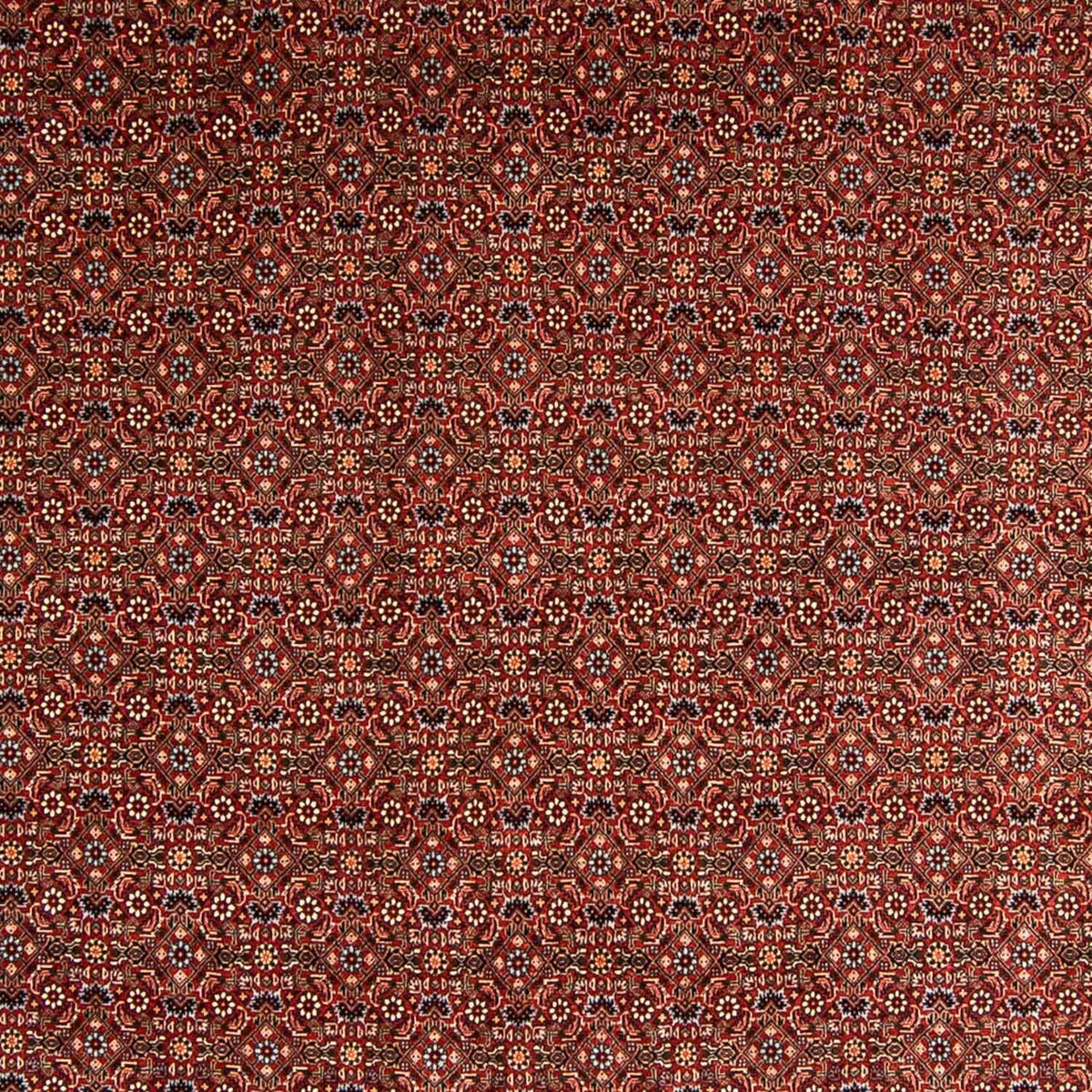 Tappeto Persero - Bidjar - 340 x 254 cm - rosso scuro