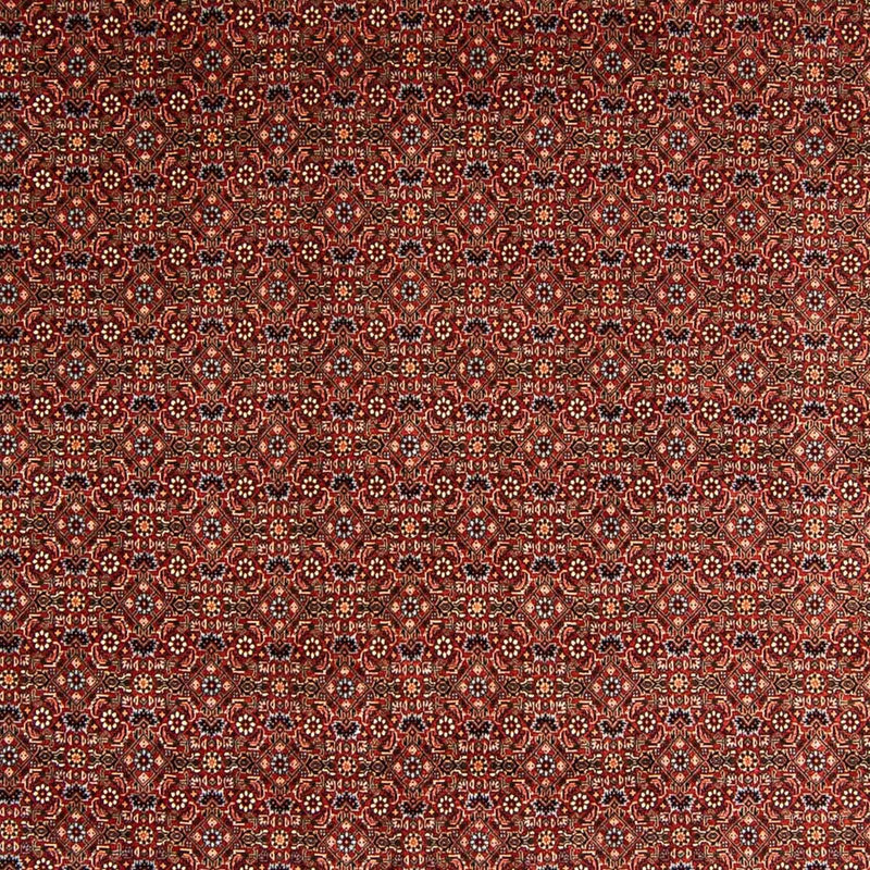 Tappeto Persero - Bidjar - 340 x 254 cm - rosso scuro