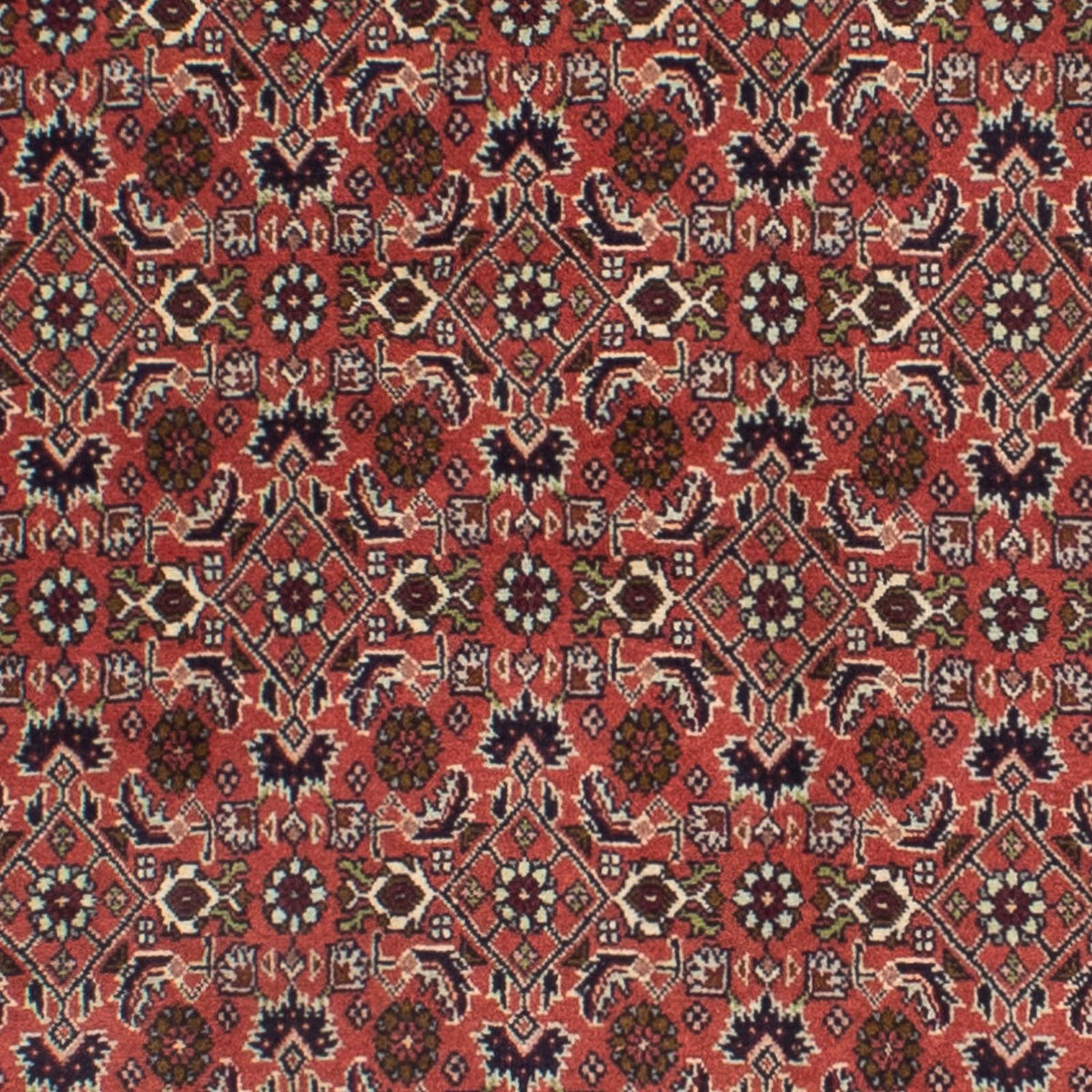 Tappeto corsia Tappeto Persero - Bidjar - 291 x 84 cm - rosso scuro