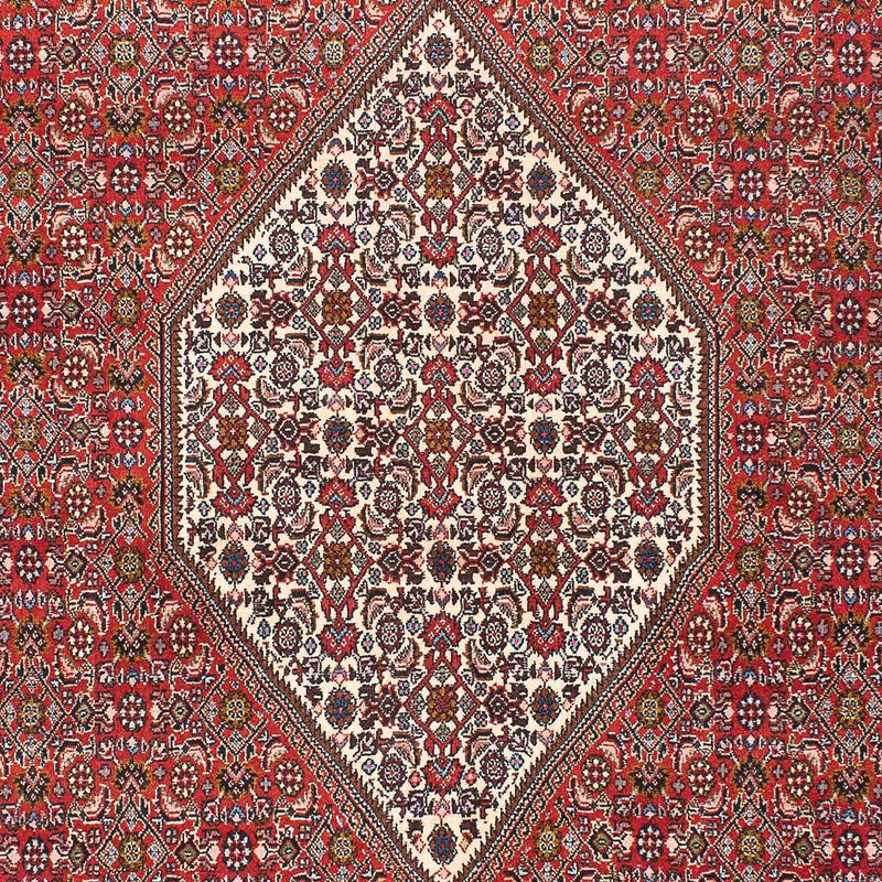 Tappeto Persero - Bidjar - 225 x 136 cm - rosso