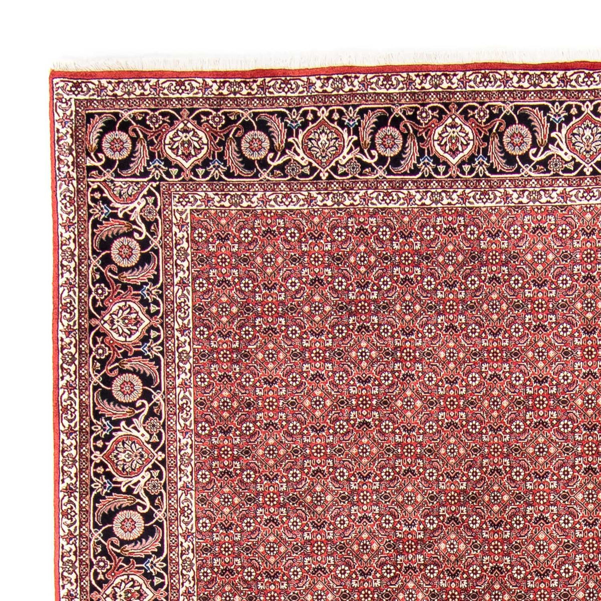 Tappeto Persero - Bidjar - 350 x 245 cm - rosso
