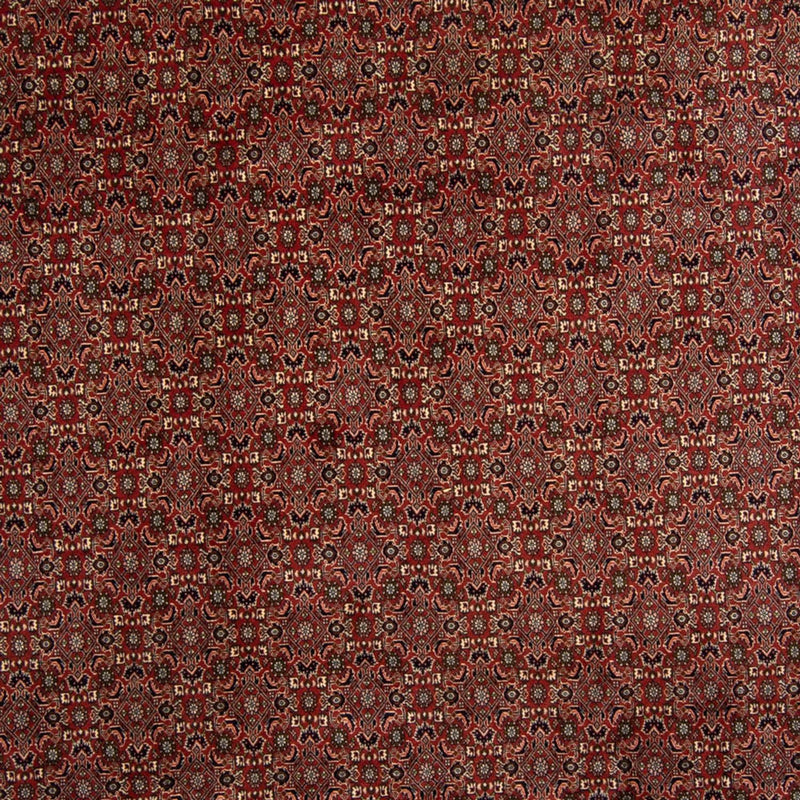 Tappeto Persero - Bidjar - 342 x 244 cm - marrone