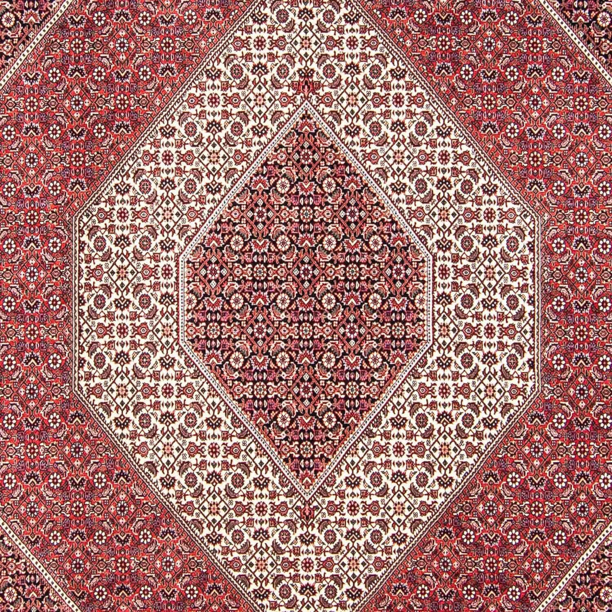 Tappeto Persero - Bidjar - 312 x 248 cm - rosso chiaro