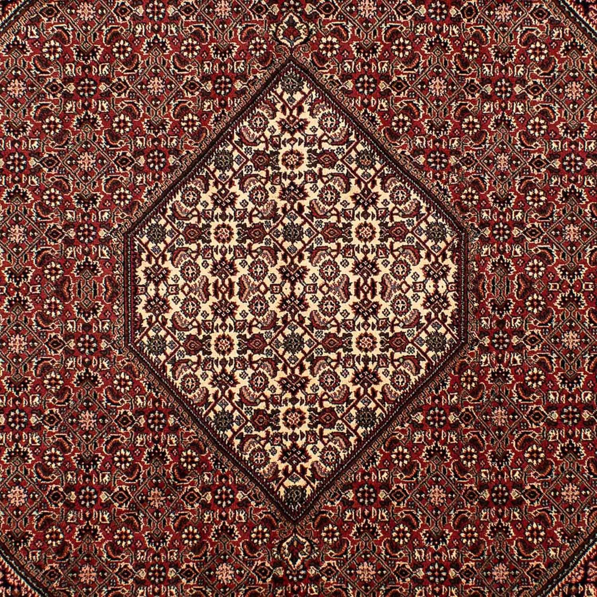 Tappeto Persero - Bidjar - 288 x 198 cm - marrone