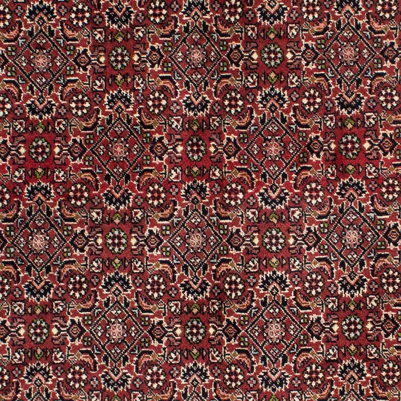 Tappeto Persero - Bidjar - 208 x 139 cm - rosso