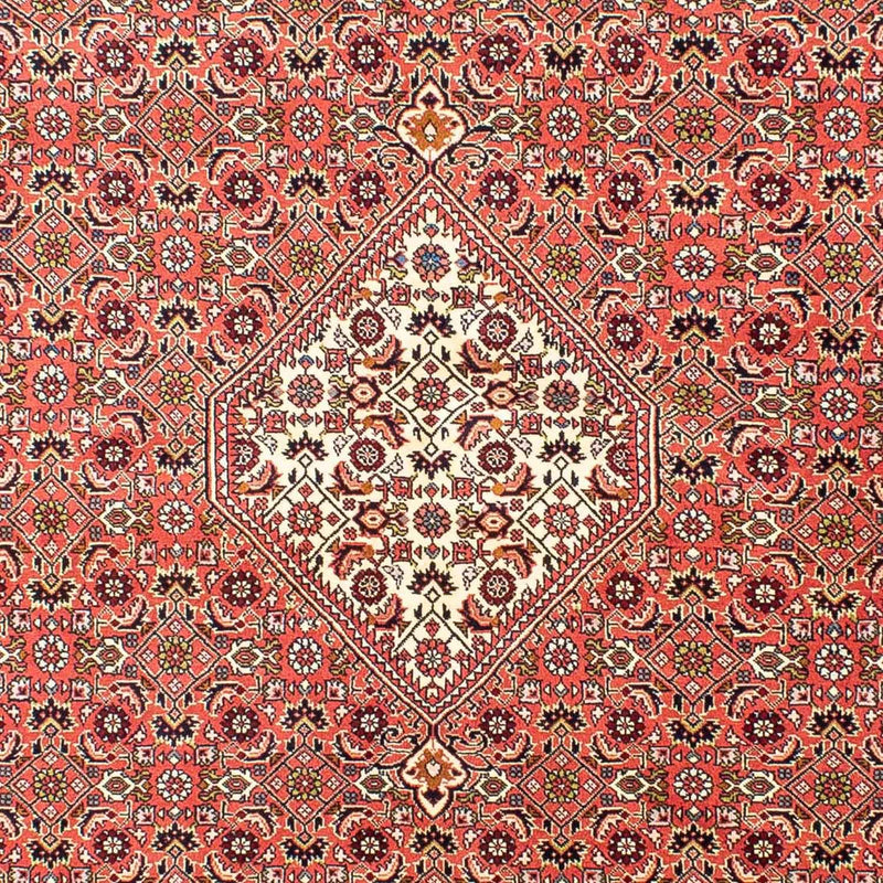 Tappeto Persero - Bidjar - 252 x 173 cm - rosso chiaro