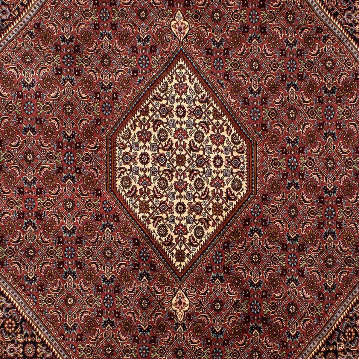 Tappeto Persero - Bidjar - 298 x 198 cm - marrone