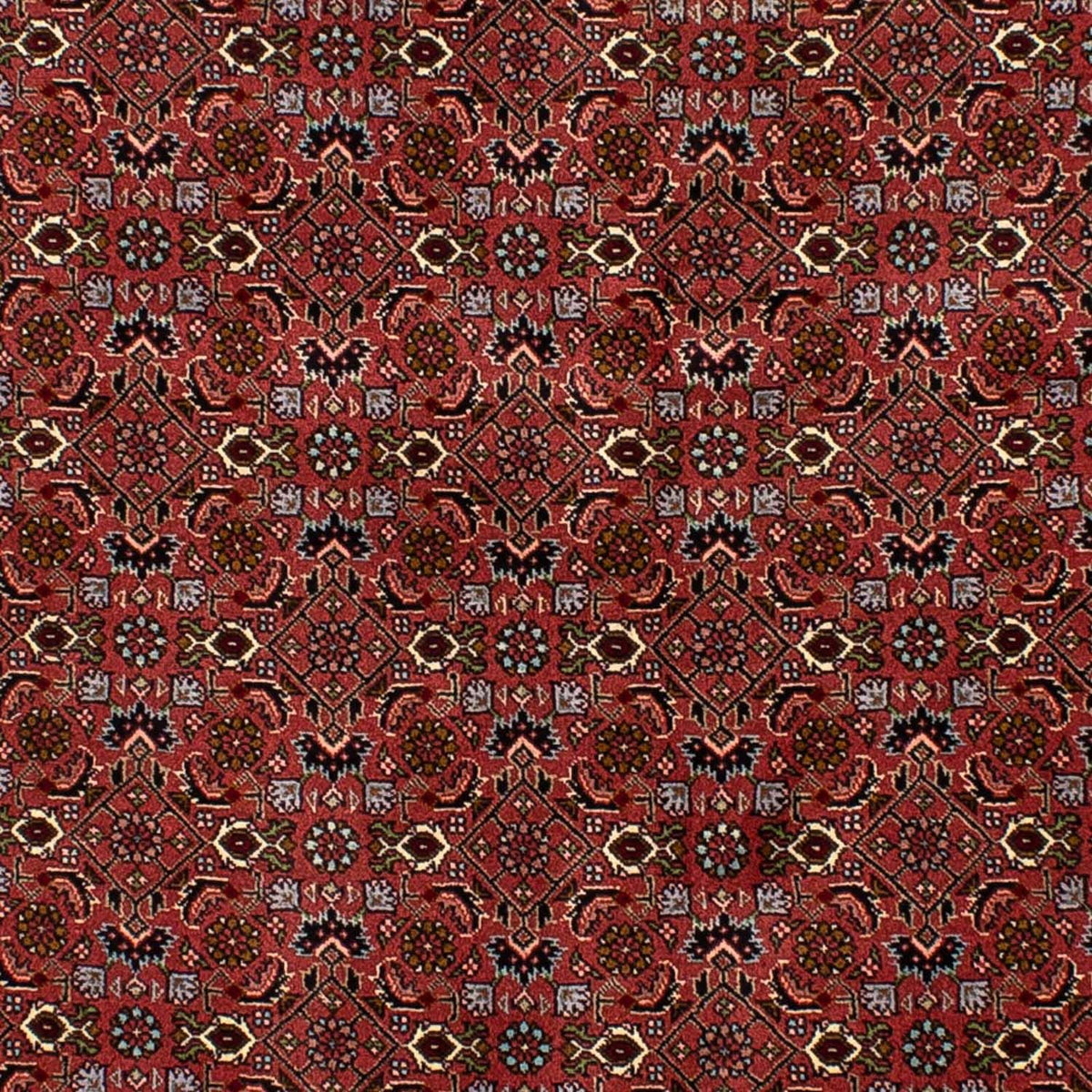 Tappeto Persero - Bidjar - 205 x 136 cm - rosso scuro