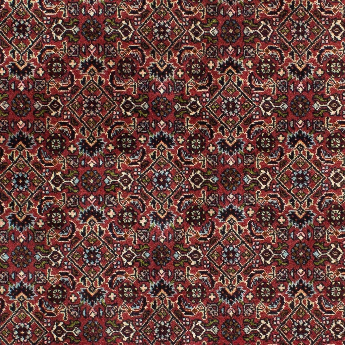 Tappeto Persero - Bidjar - 205 x 141 cm - rosso