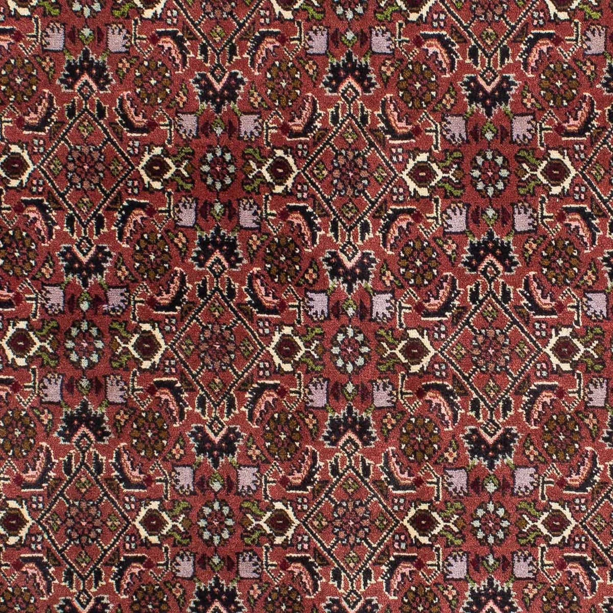Tappeto Persero - Bidjar - 208 x 139 cm - rosso