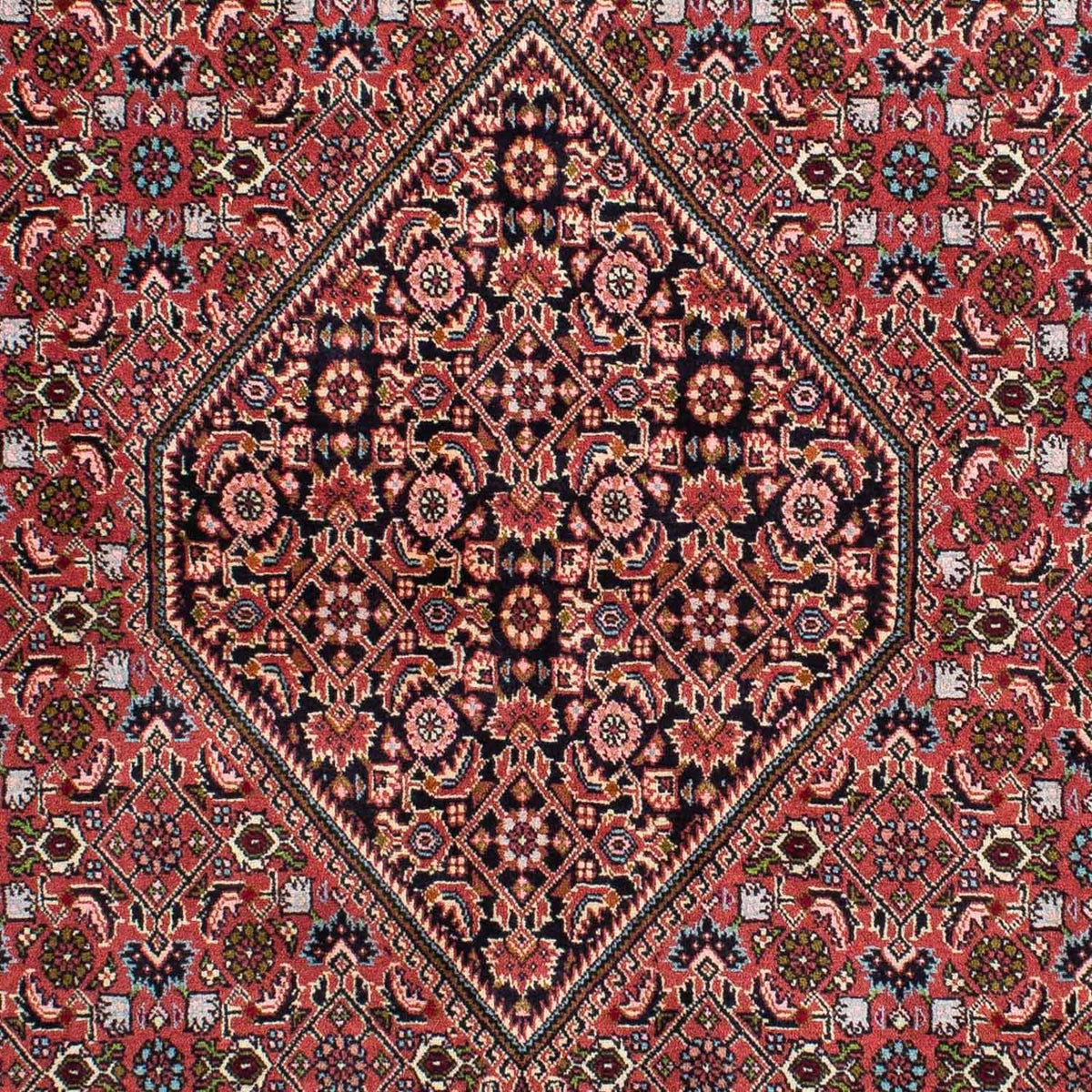 Tappeto Persero - Bidjar - 233 x 140 cm - rosso