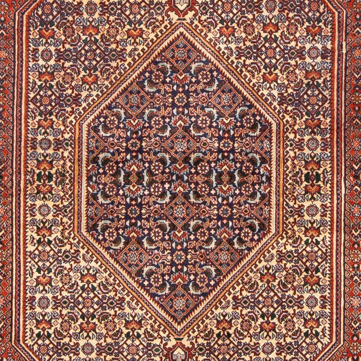 Tappeto Persero - Bidjar - 240 x 138 cm - marrone