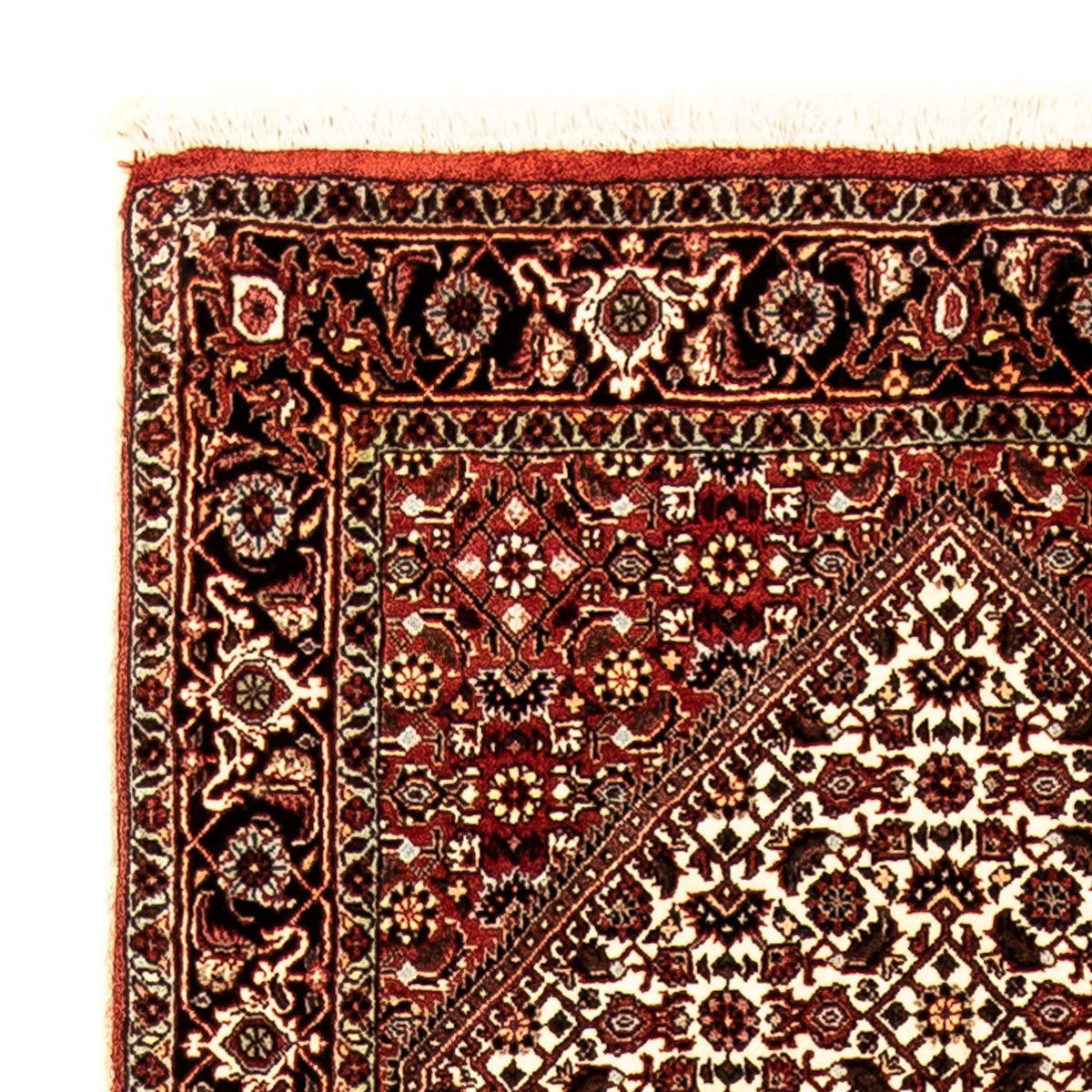 Tappeto corsia Tappeto Persero - Bidjar - 280 x 83 cm - multicolore