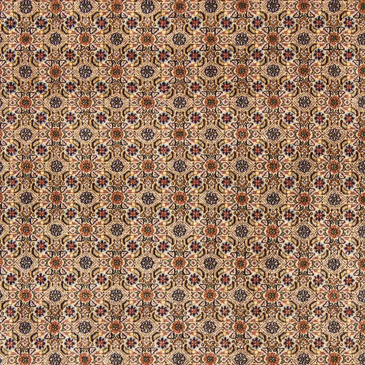 Tappeto Persero - Classico - 298 x 200 cm - beige