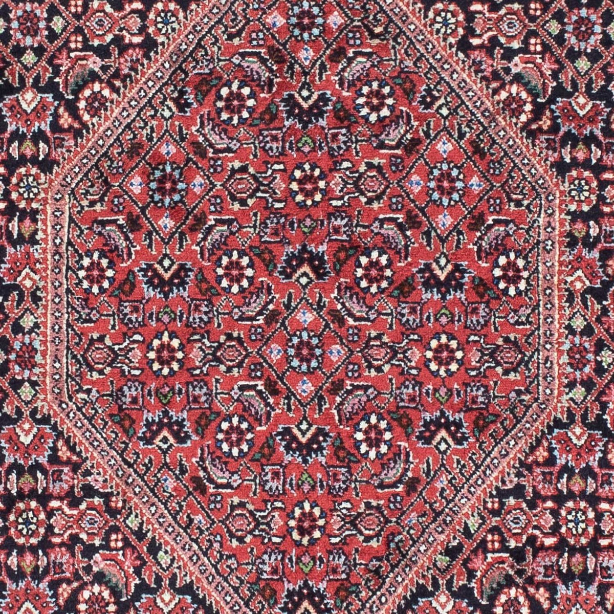 Tappeto corsia Tappeto Persero - Bidjar - 208 x 73 cm - blu scuro