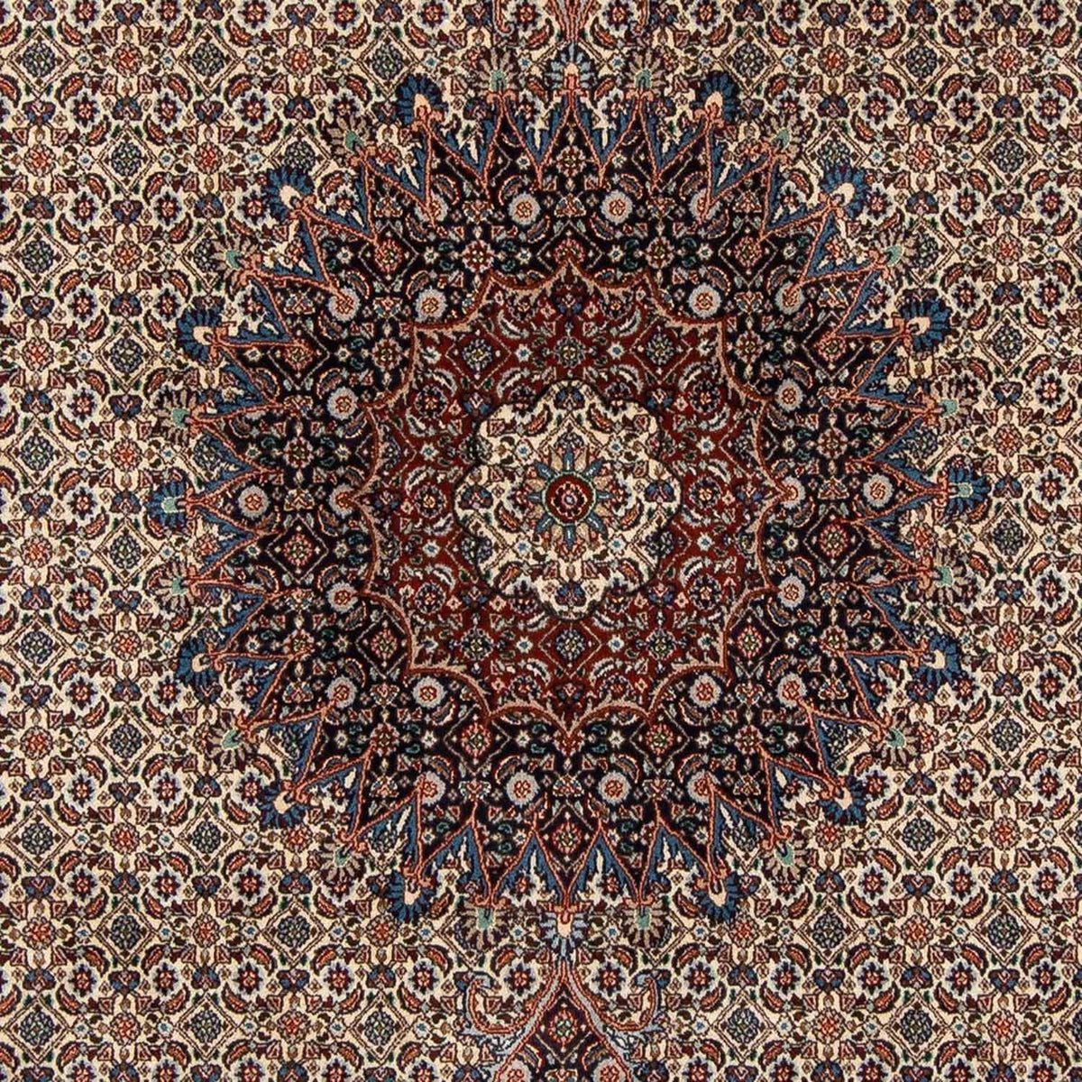 Tappeto Persero - Classico - 300 x 202 cm - beige