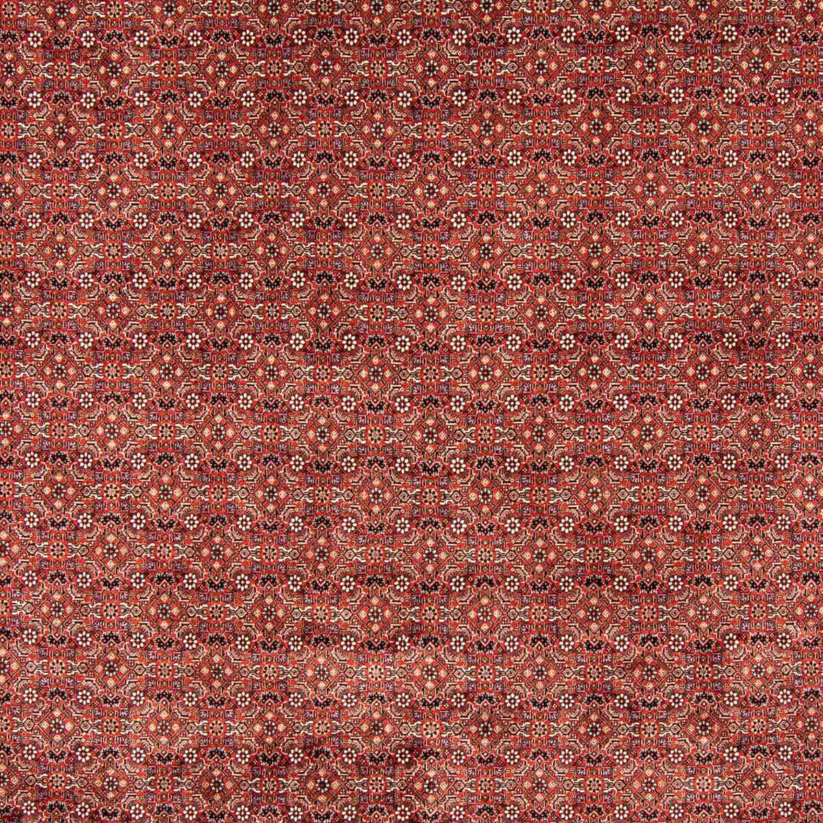 Tappeto Persero - Bidjar - 403 x 298 cm - rosso scuro
