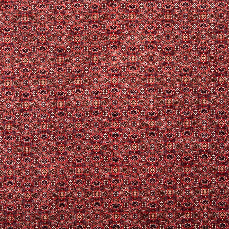 Tappeto Persero - Bidjar - 296 x 250 cm - rosso scuro