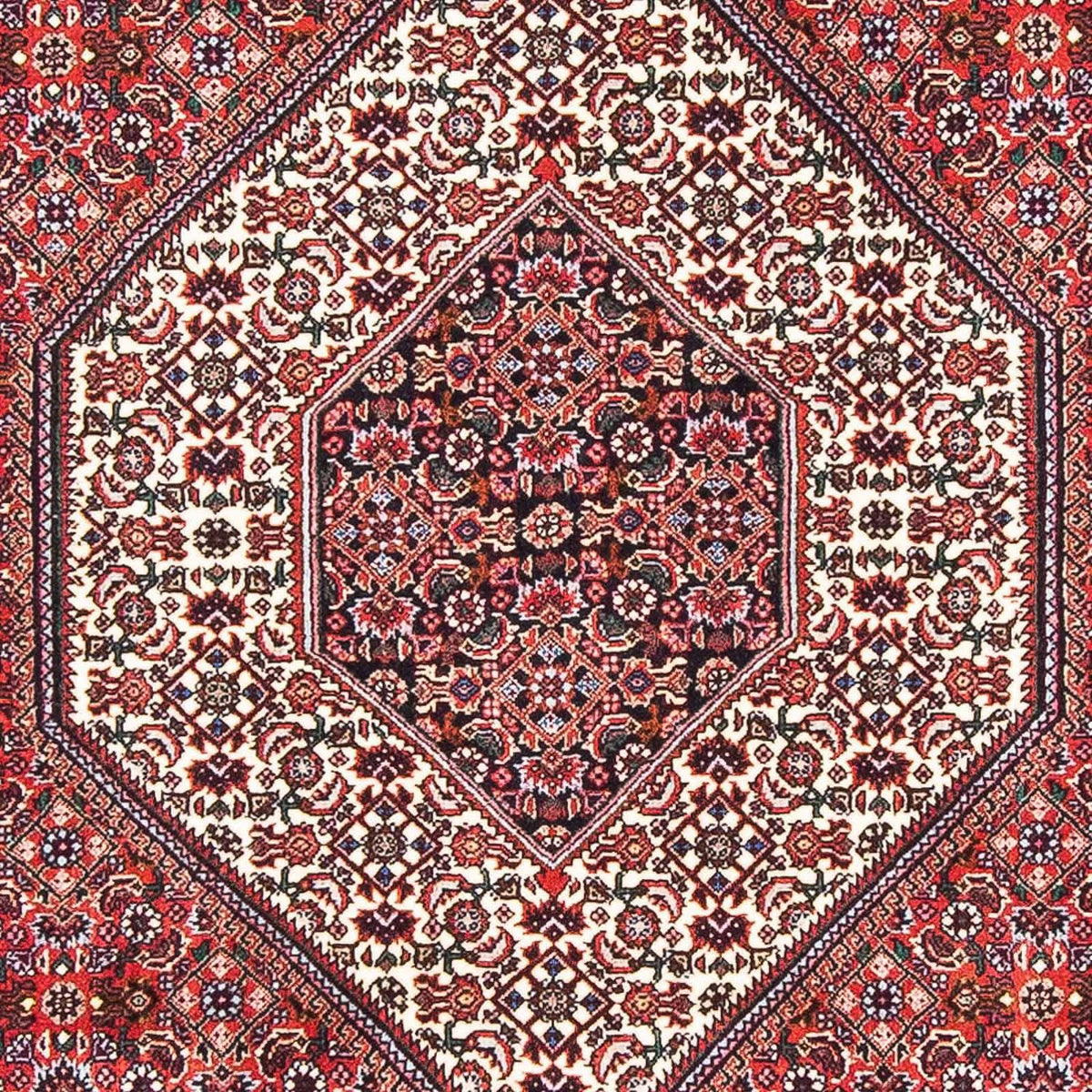 Tappeto Persero - Bidjar - 180 x 112 cm - rosso