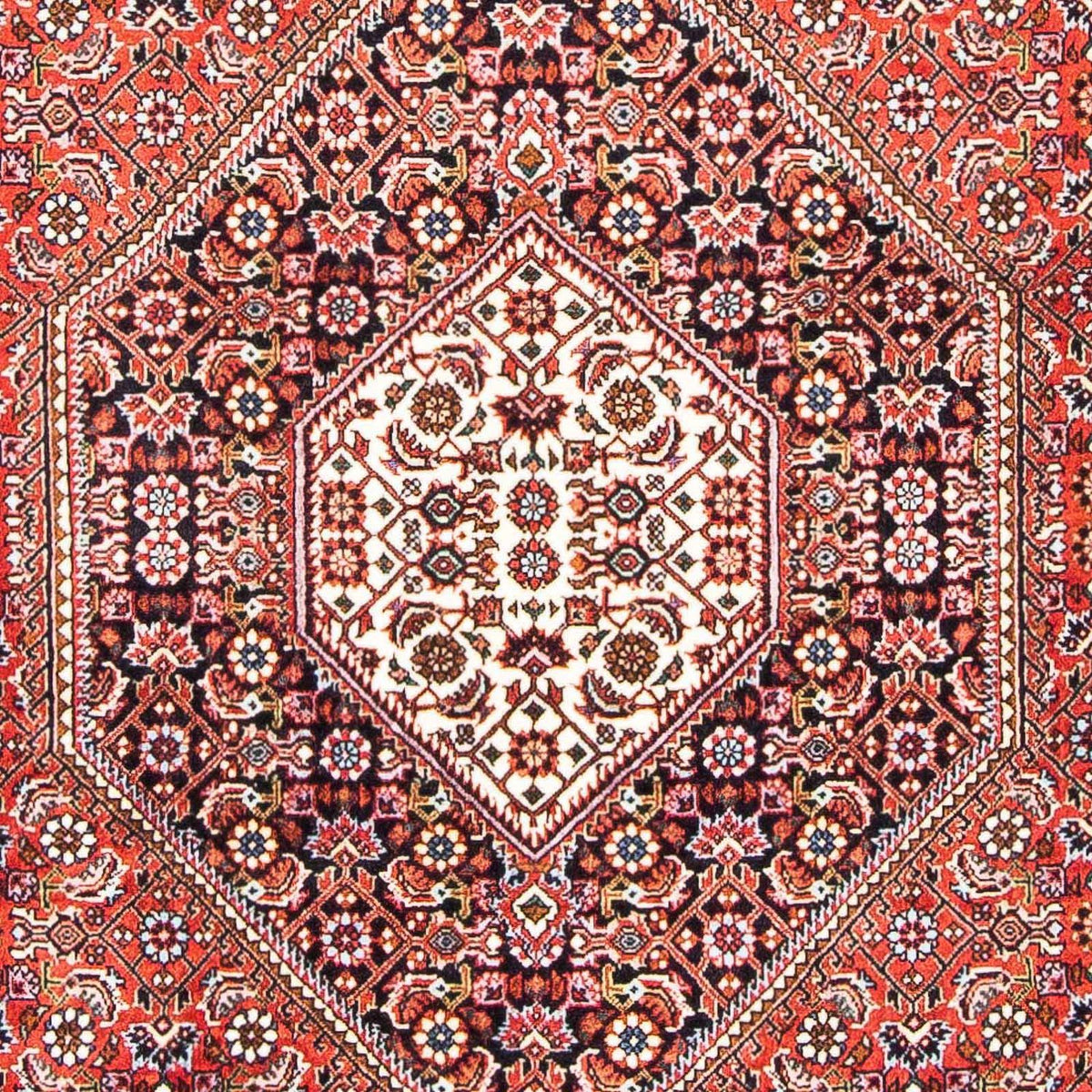 Tappeto Persero - Bidjar - 183 x 110 cm - rosso