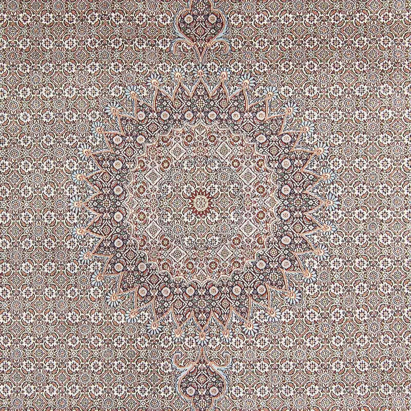 Tappeto Persero - Classico - 342 x 246 cm - marrone chiaro