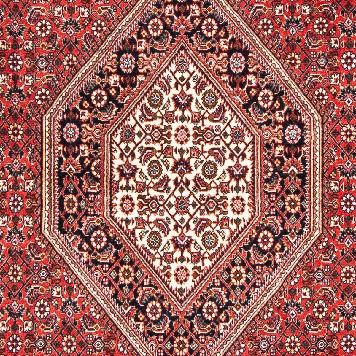 Tappeto Persero - Bidjar - 181 x 110 cm - rosso