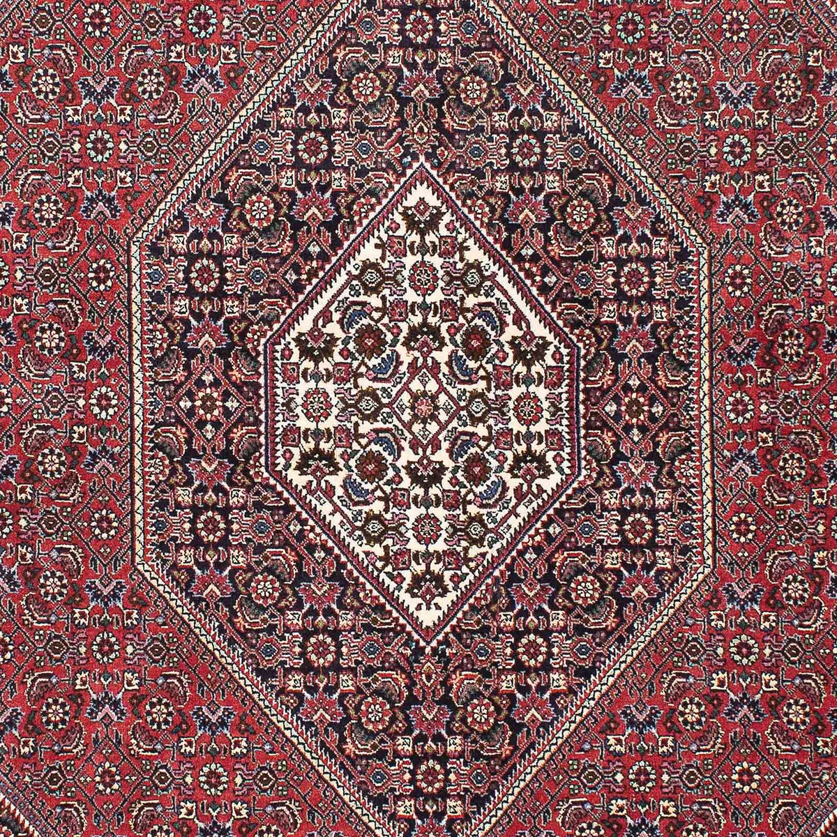 Tappeto Persero - Bidjar - 215 x 148 cm - rosso