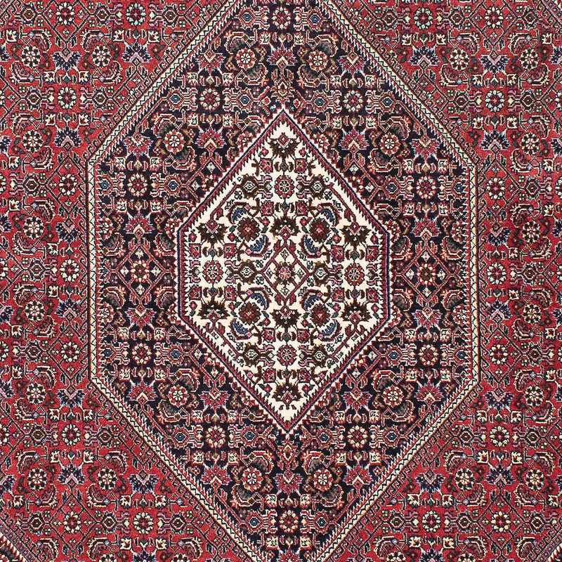 Tappeto Persero - Bidjar - 215 x 148 cm - rosso