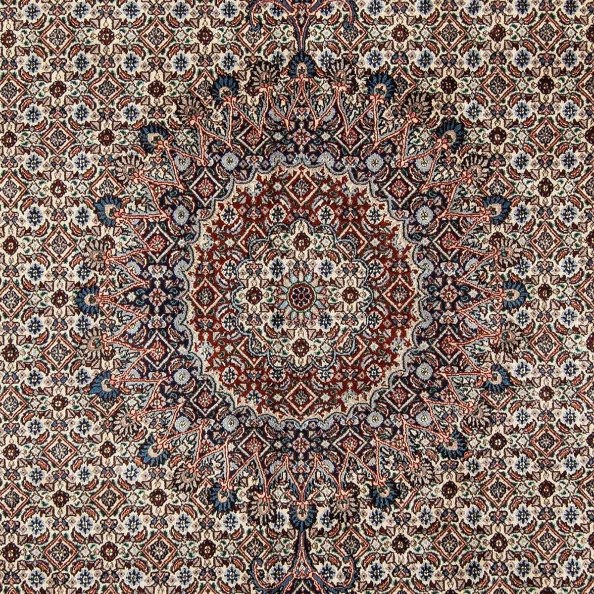 Tappeto Persero - Classico - 303 x 204 cm - beige