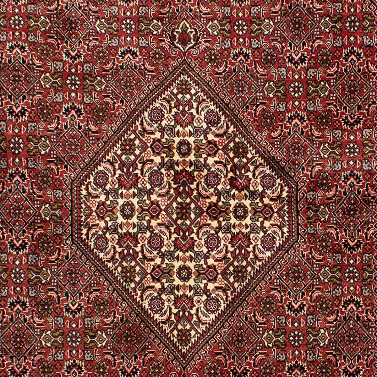 Tappeto Persero - Bidjar - 235 x 140 cm - rosso chiaro