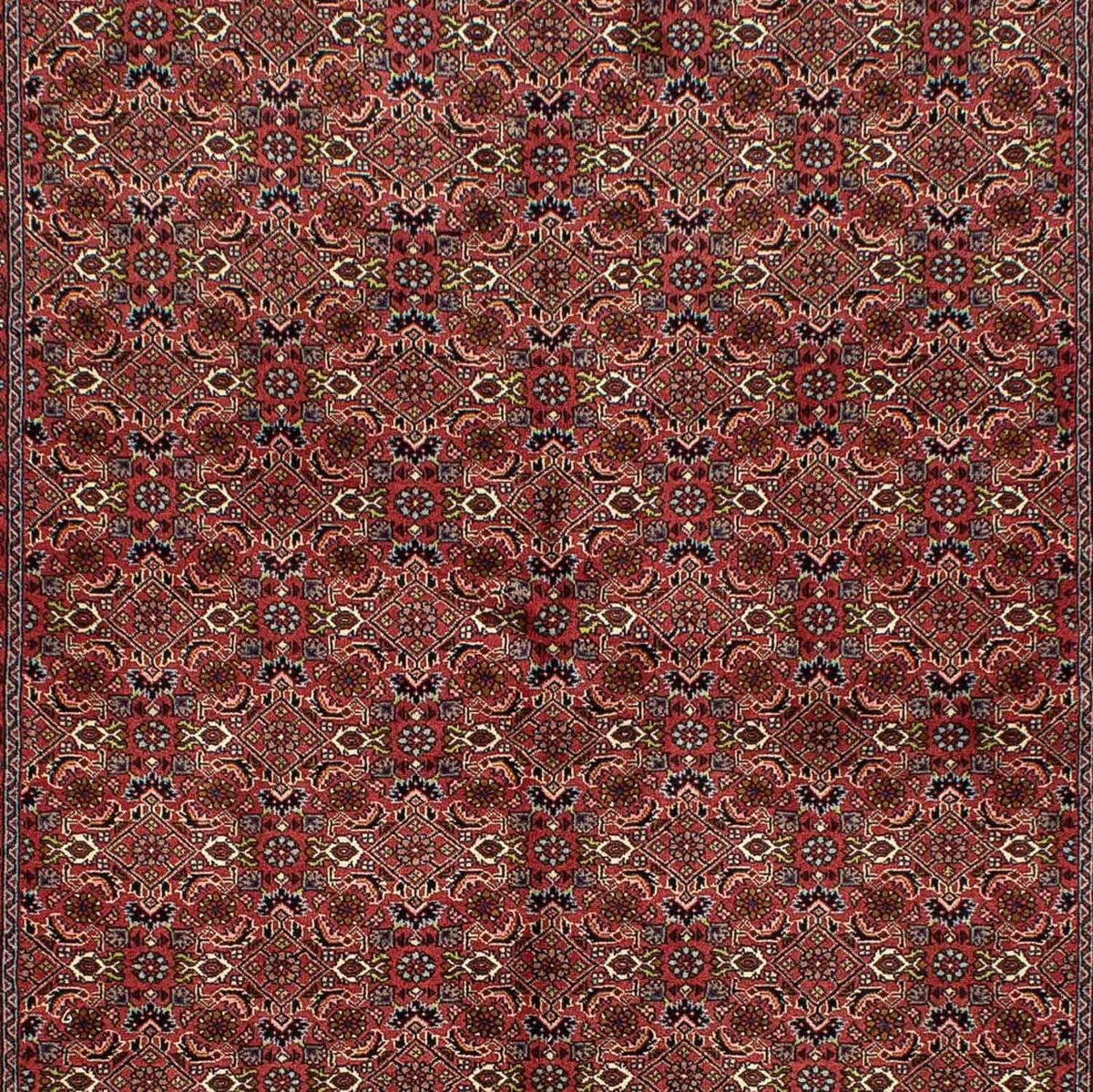 Tappeto Persero - Bidjar - 246 x 170 cm - rosso scuro