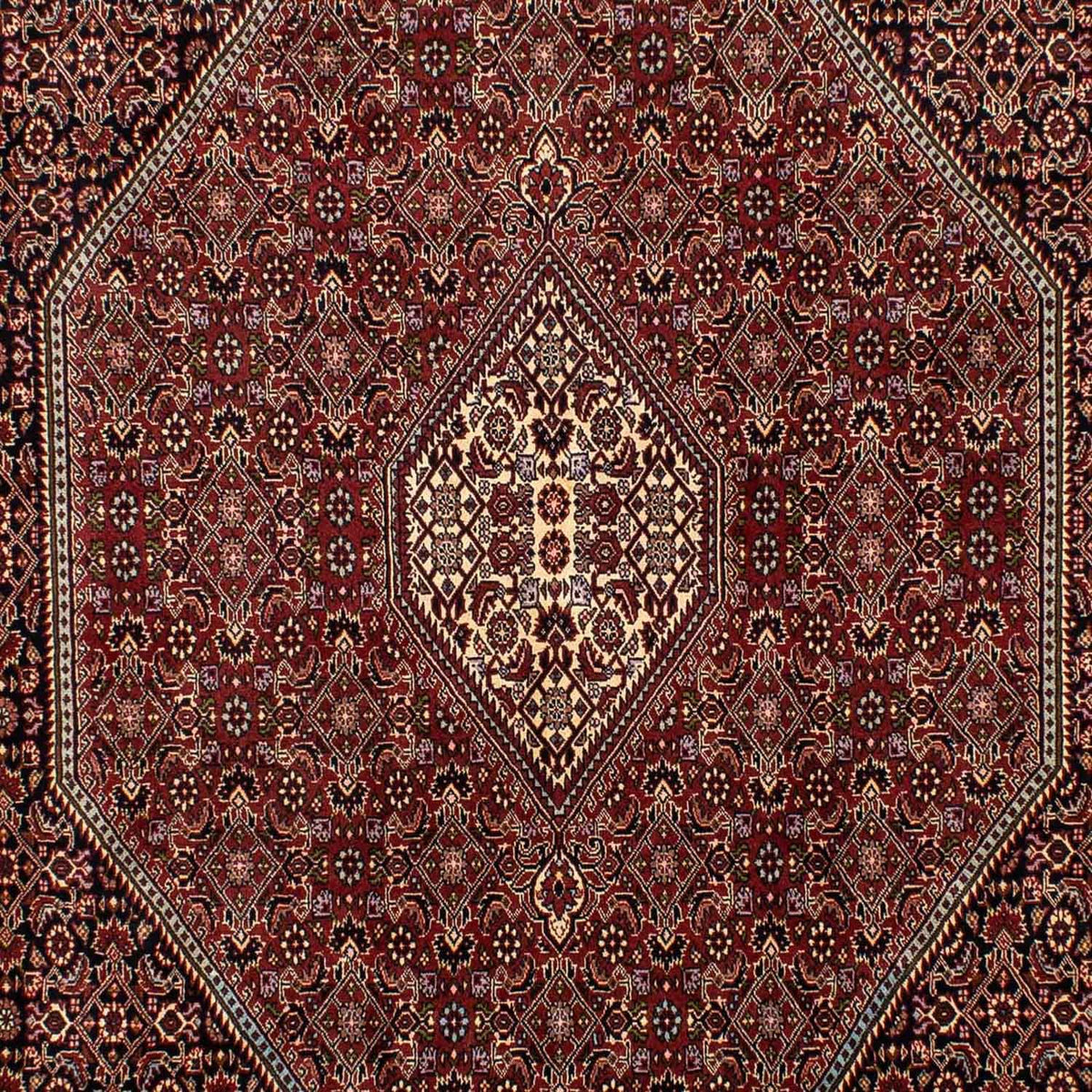 Tappeto Persero - Bidjar - 283 x 199 cm - marrone