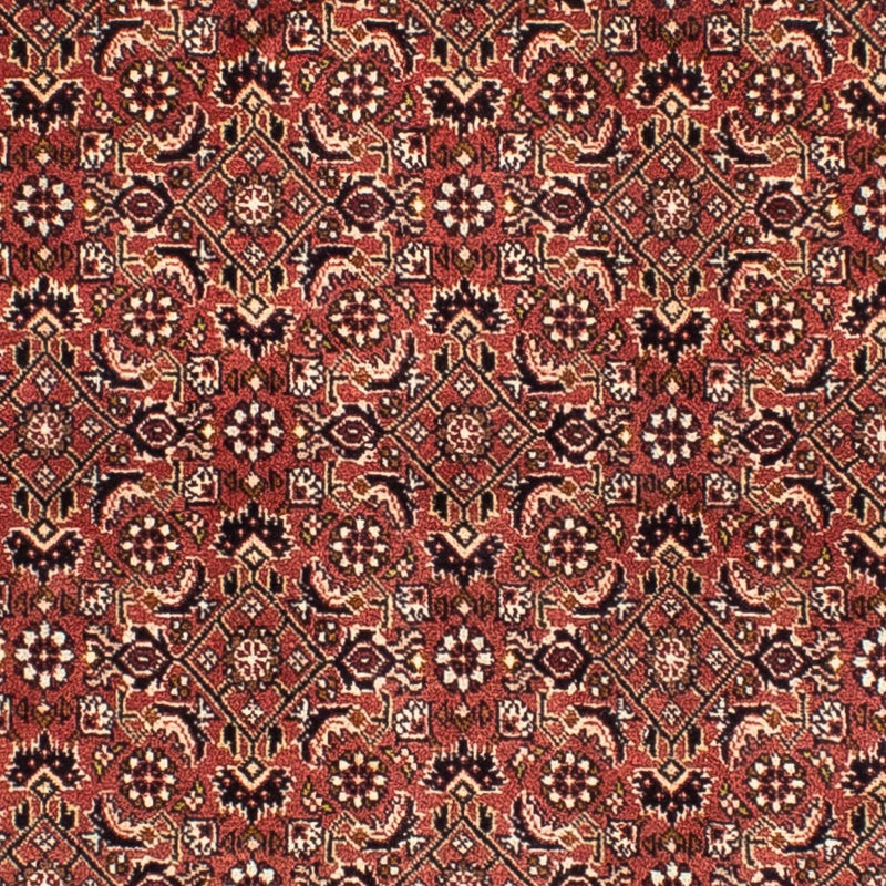 Tappeto Persero - Bidjar quadrato  - 200 x 195 cm - rosso chiaro