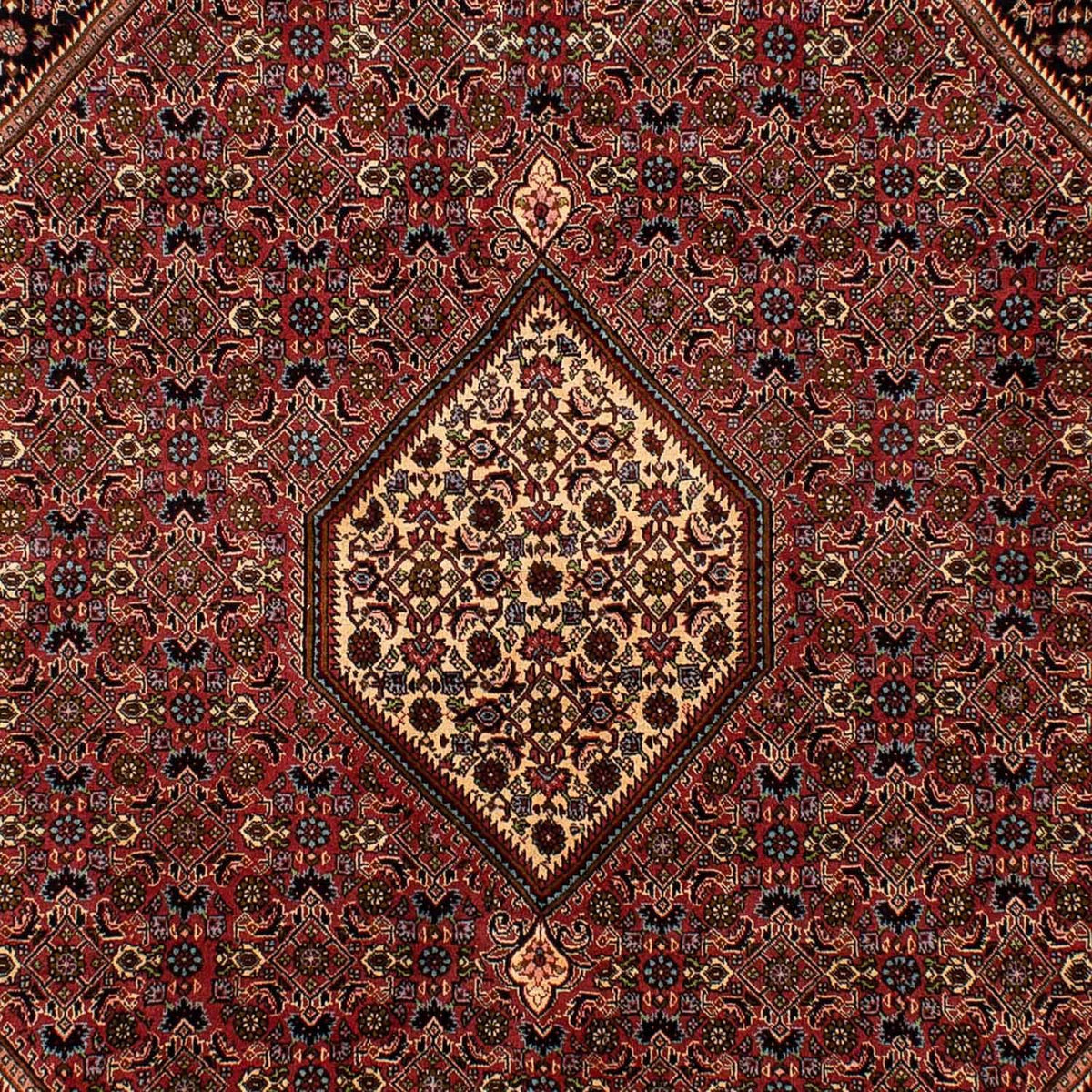 Tappeto Persero - Bidjar - 288 x 202 cm - marrone