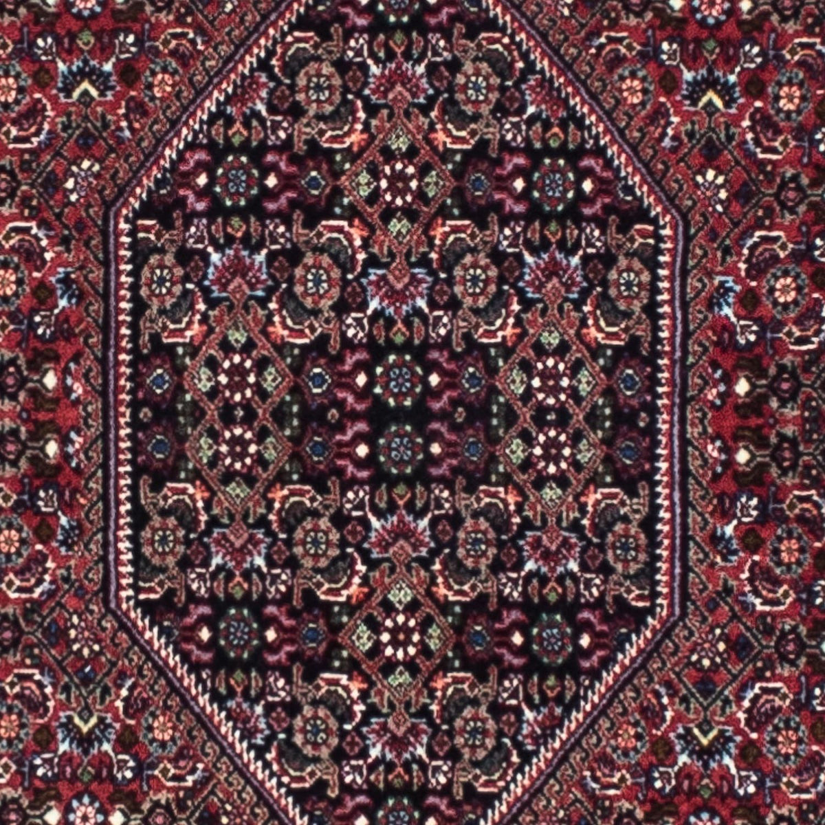 Tappeto corsia Tappeto Persero - Bidjar - 253 x 72 cm - ruggine