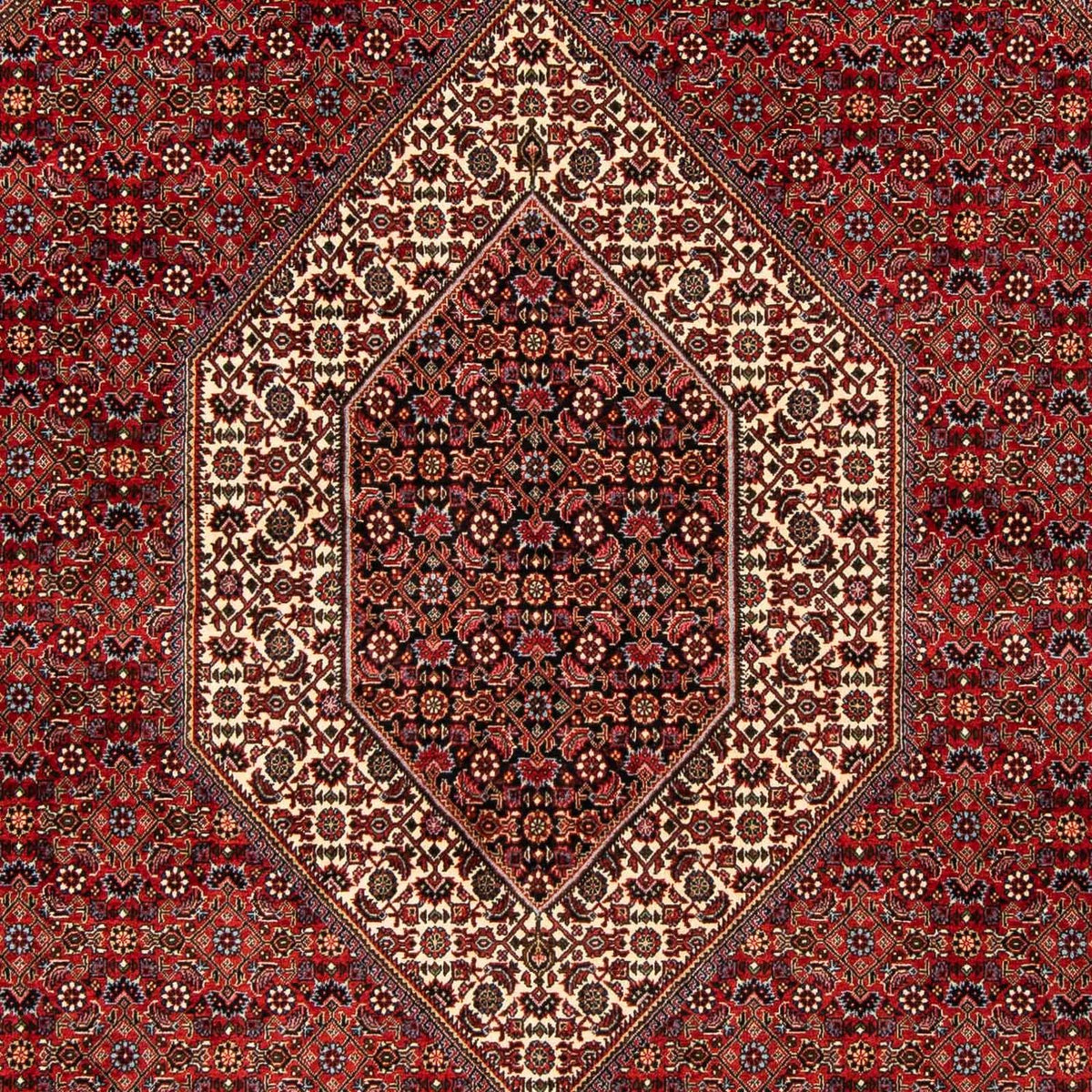 Tappeto Persero - Bidjar - 244 x 200 cm - rosso scuro