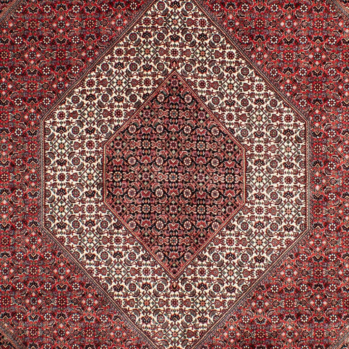 Tappeto Persero - Bidjar - 302 x 204 cm - rosso chiaro