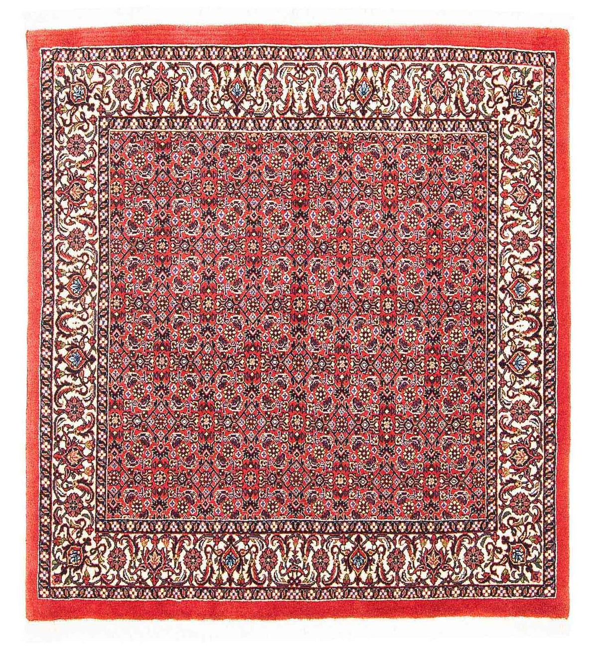 Tappeto Persero - Bidjar quadrato  - 104 x 98 cm - rosso