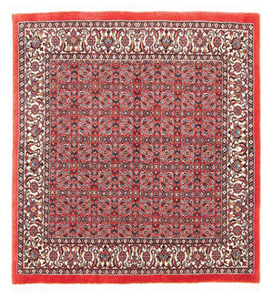 Tappeto Persero - Bidjar quadrato  - 104 x 98 cm - rosso